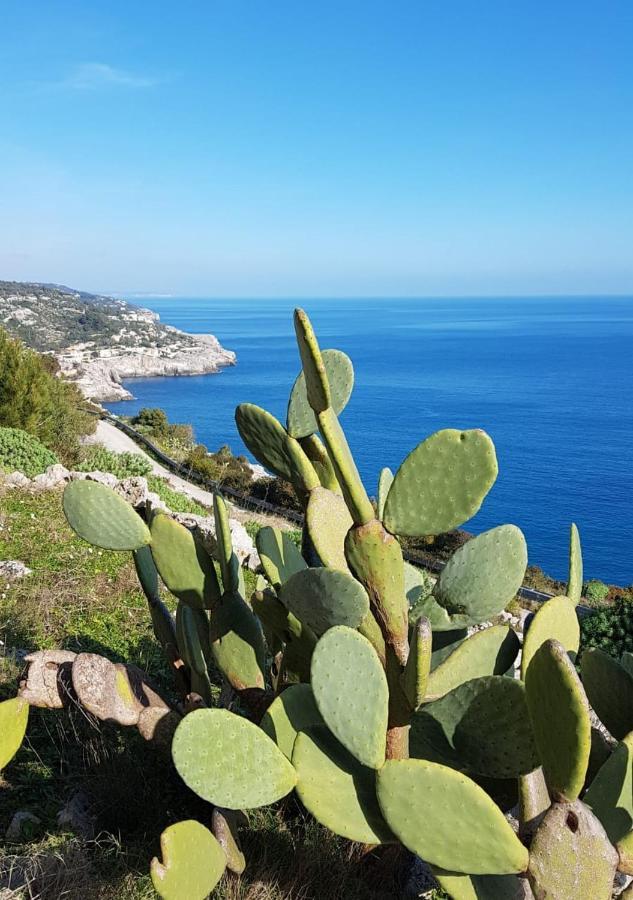 terra rossa casa di campagna con piscina Casarano Esterno foto